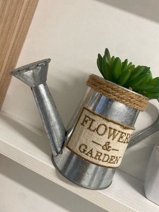 Lote de regadera decorativa y pequeño cactus