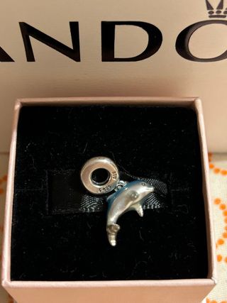 Charm Delfin
