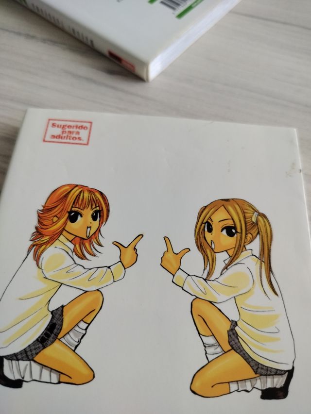 Lote tres libros manga