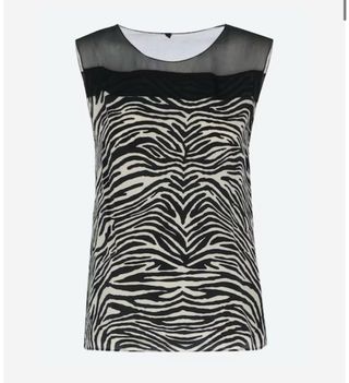 Top zebrato