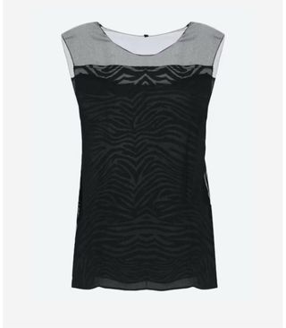 Top zebrato