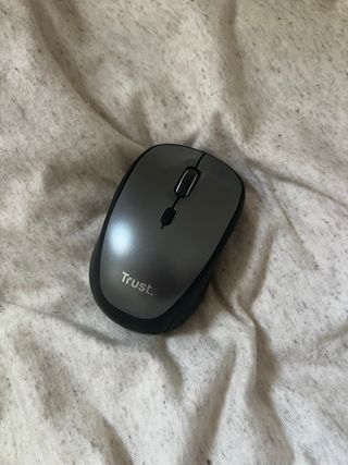 Raton ordenador (marca trust)