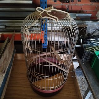 Jaula pajaro
