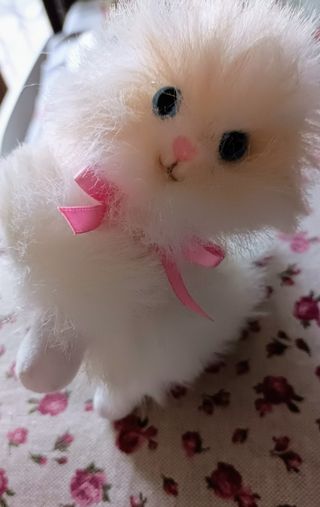Barbie Mitzy la sua preferita 