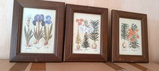 3 QUADRETTI VINTAGE BOTANICA CORNICE LEGNO NATURA