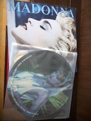 DOS DISCOS VINILO MADONNA