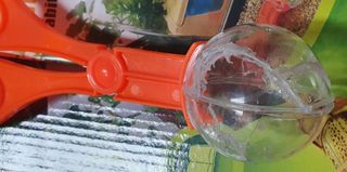 Cefa Toys- Insecticefa Plus, Hábitat Natural de Cr