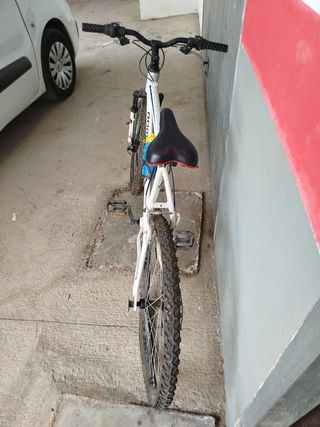 Bicicleta de montaña romester