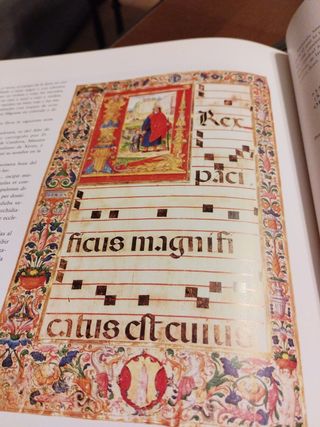 Catedral, Magna Hispalensis