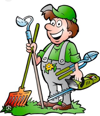 Limpieza de jardines y parcelas