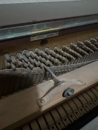 Piano Murdoch London