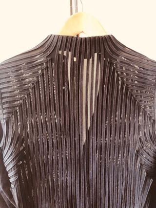 Camisa transparente de Adolfo Domínguez