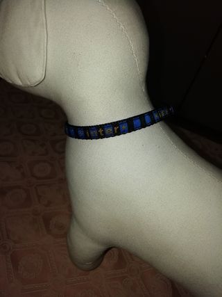 Collarino per cani Inter small