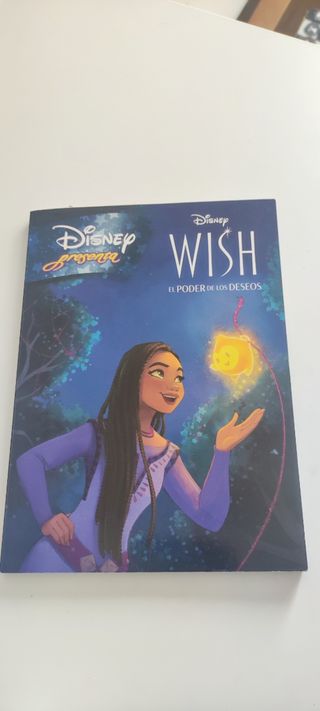 Libro Wish de Disney 