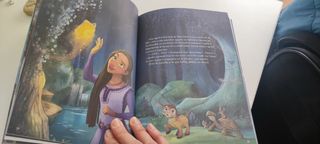 Libro Wish de Disney 
