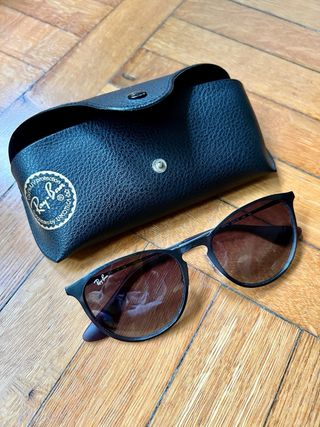 Ray Ban Erika Metal