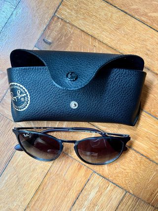 Ray Ban Erika Metal