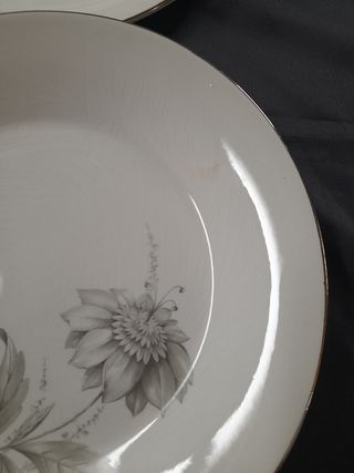 6 Platos vintage Royal Vigo