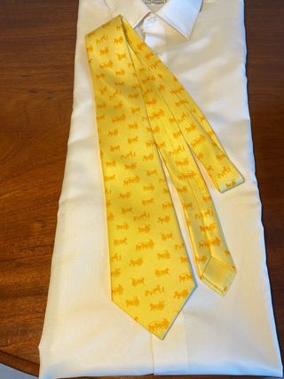 Corbata de Hermès