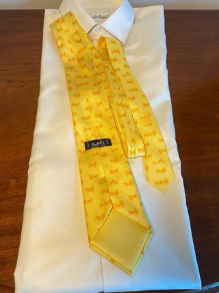 Corbata de Hermès
