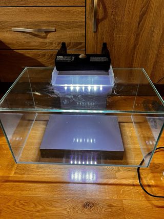 Acuario Fluval Edge con lud