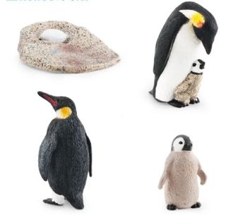 Pack ciclo de vida pinguino