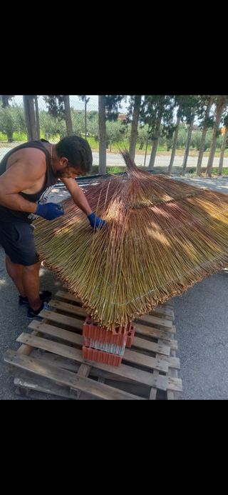 Sombrilla de carri verzo