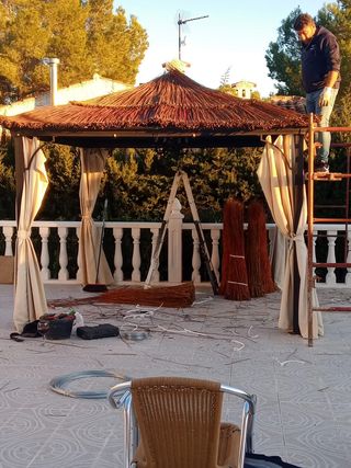 Sombrilla de carri verzo