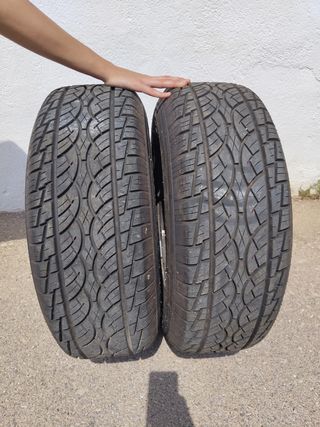 Ruedas Nissan Terrano I (235/70/R15)