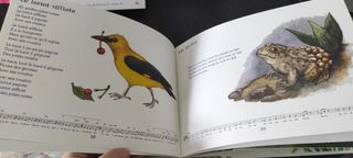 Plif, plaf, plouf! La rivière