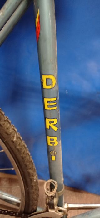 Bicicleta rabasa derbi
