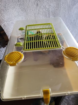 Tortuguera o acuario de tortugas