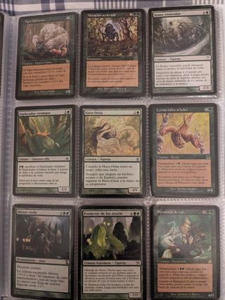 Cartas Magic Bosque