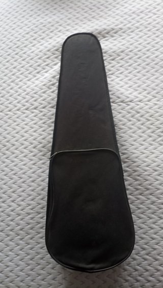 Violín con funda