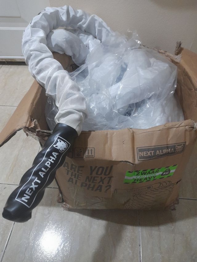 Gimnasia b.r.workout