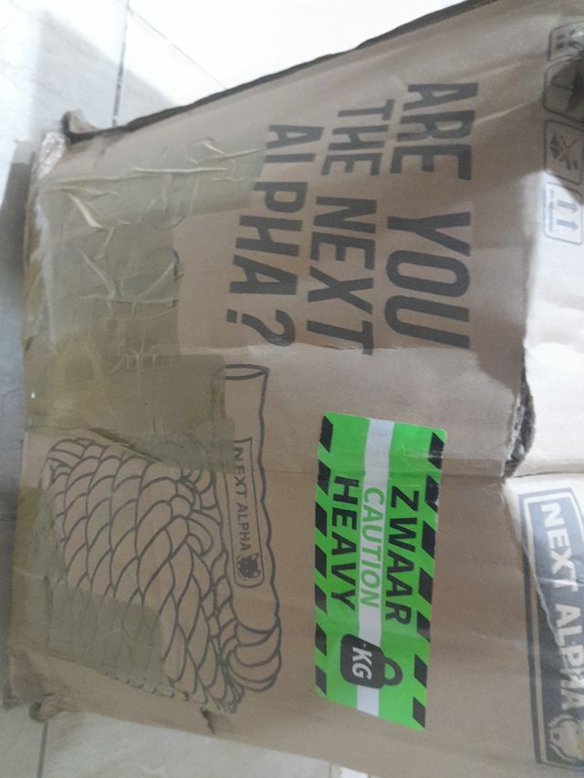 Gimnasia b.r.workout