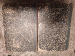 Libros el secreto de una mártir