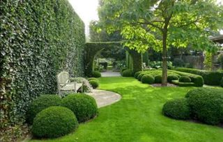 Jardínero económico