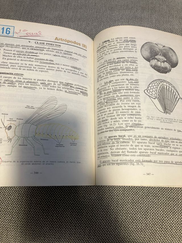 Ciencias naturales 1ºBUP