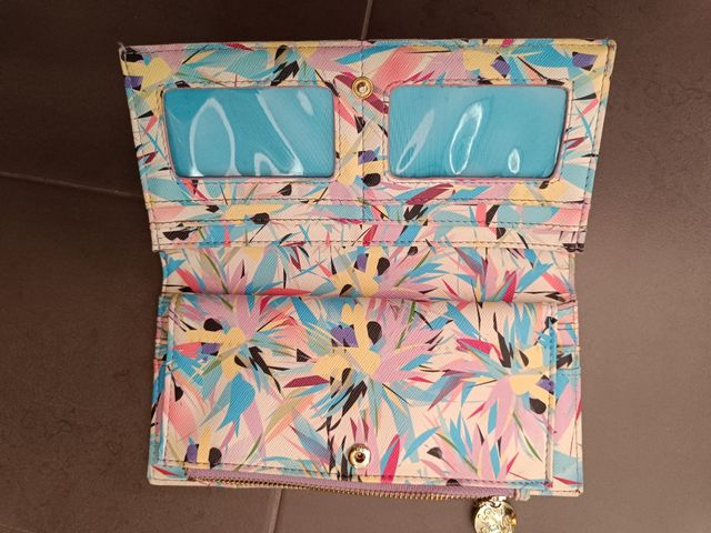 Cartera Salvador Bachiller