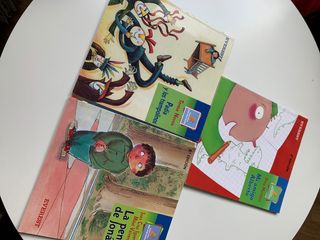 lote libros montaña encantada infantil