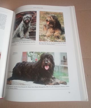 Libro El Gos D'atura Catala.