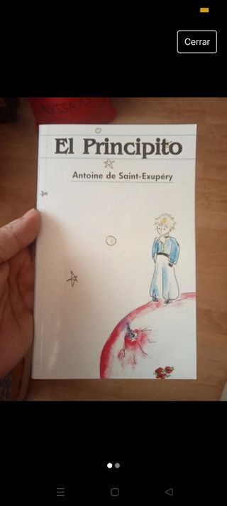 Libro infantil el principito 