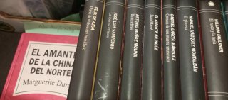 Lote de libros