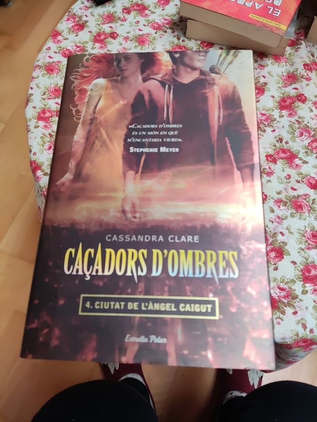 Saga cazadores de sombras de C. Clare