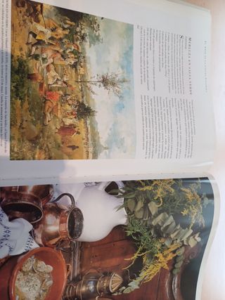 El Arte de ka cocina Española