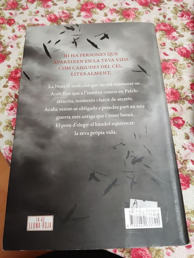 Saga Hush Hush de Beca Fitzpatrick