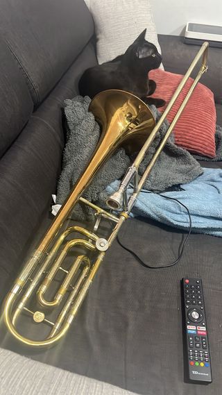 Trombon Holton Tr159 o cambio por tuba