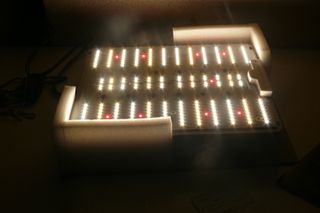 Lâmpada de crescimento LED SpiderFarmer