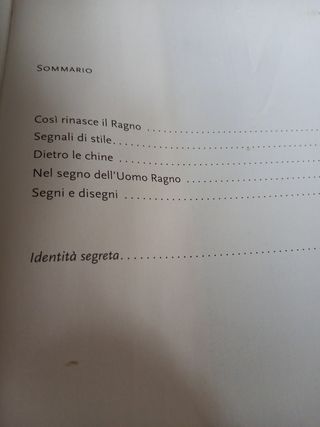 Libro Uomo ragno